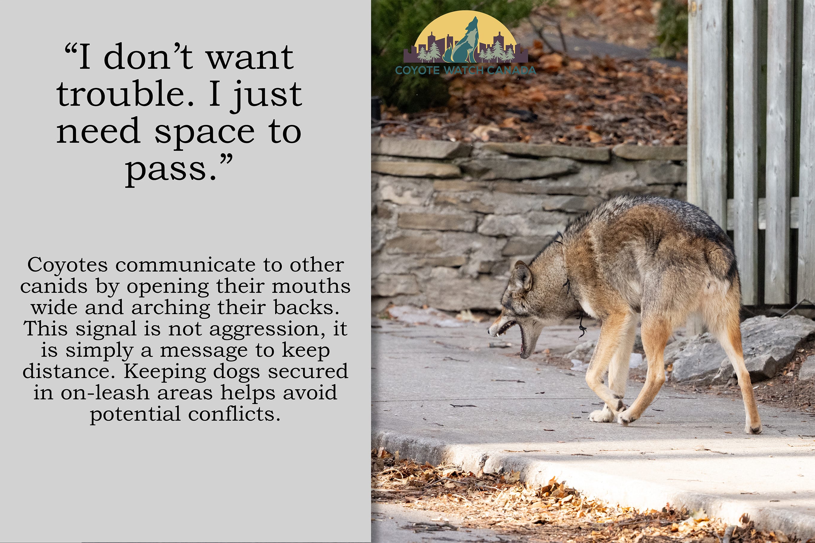 Mouth Gape expression