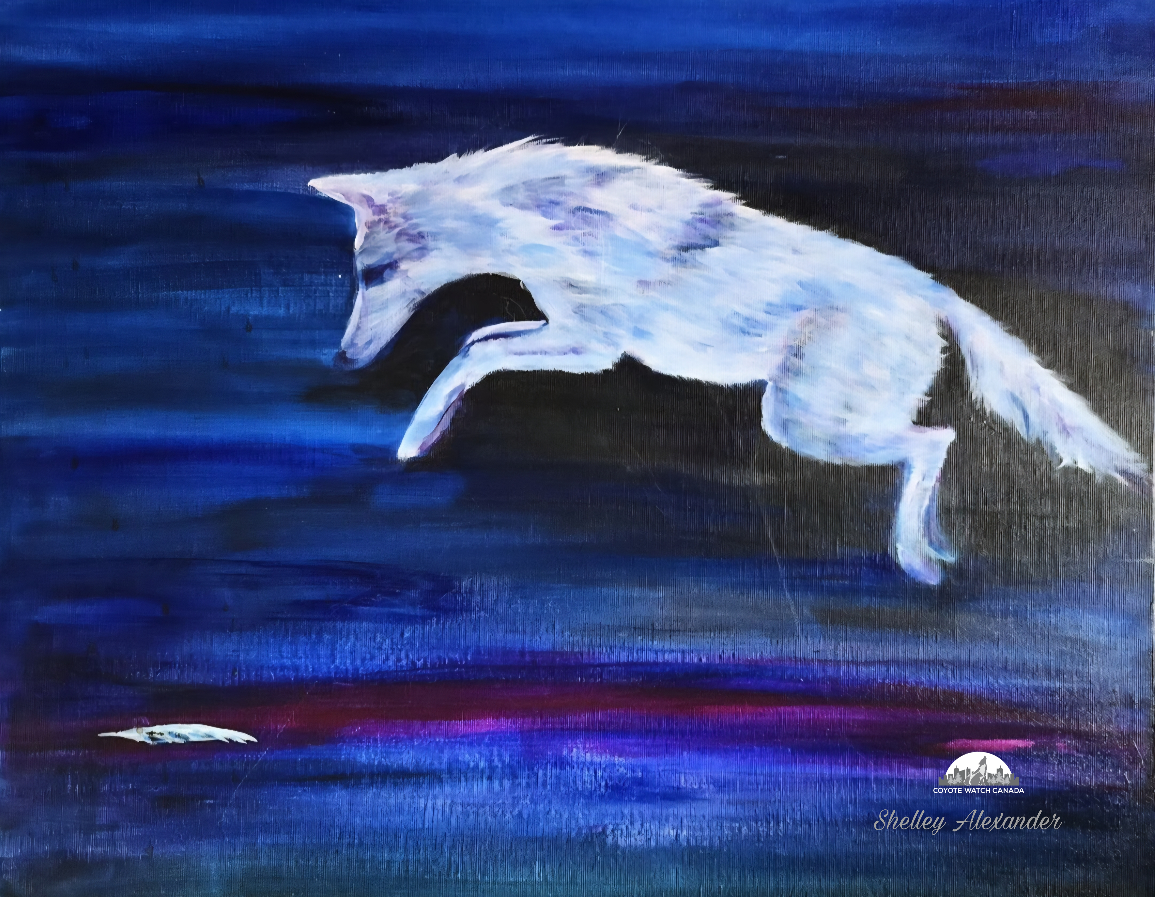 Coyote and the Feather