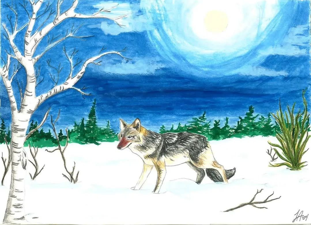 Coyote Sketch Lori A